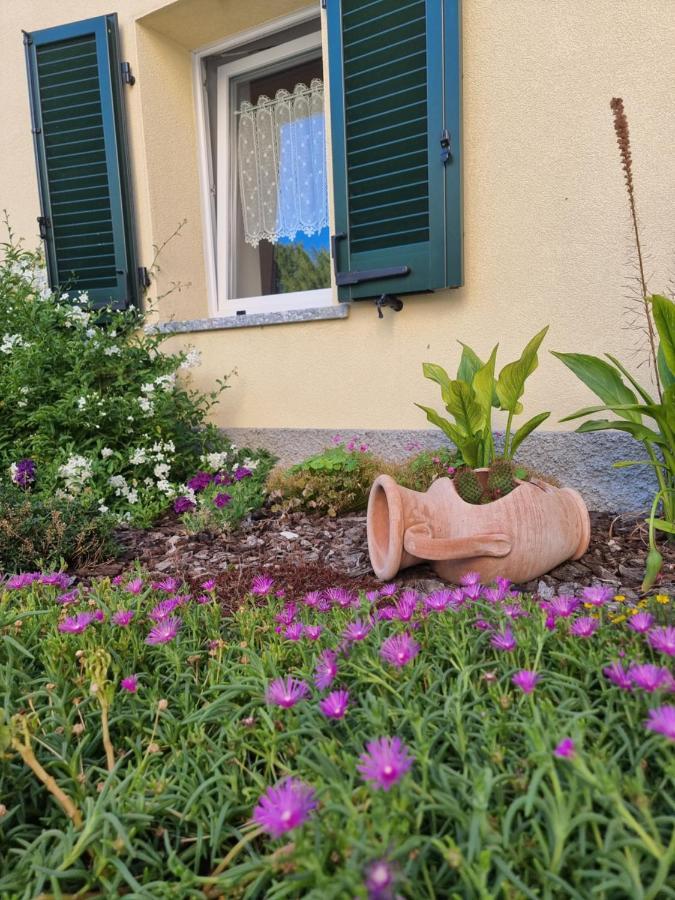 Residenze Lariane Daire Colico Dış mekan fotoğraf